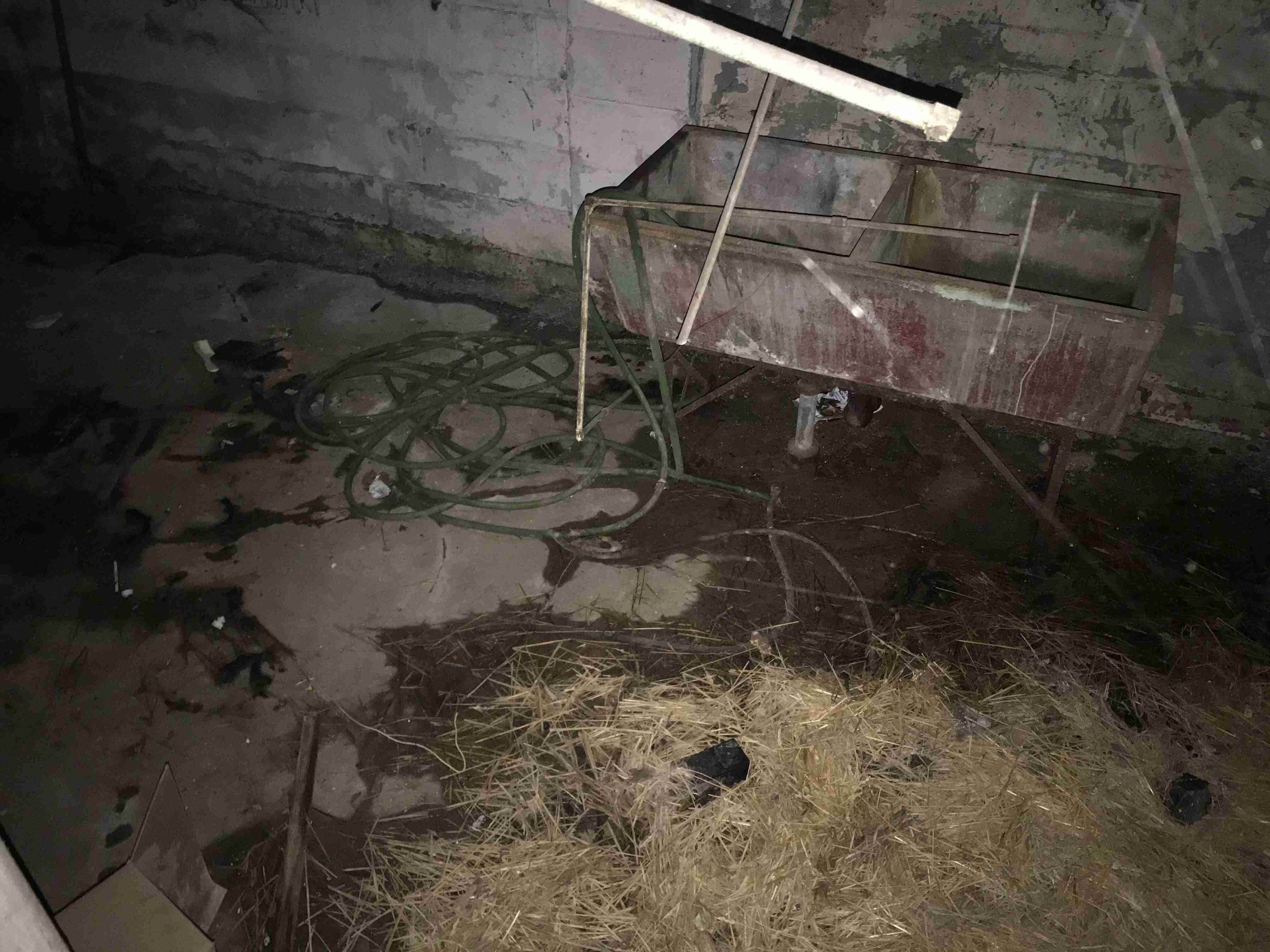 Photo Sep 09, 10 20 02 AM.jpg